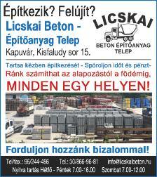 A leggyakoribb kérdés, a gondozásmentes dísznövények kapcsán: hogyhogy nem kell öntözni őket? Hogy miért? Most eláruljuk!