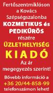 8 INgAtLANbörzE eladó és kiadó ingatlanok Kapuváron két szintes, felújított családi ház eladó a városközponthoz közel. Hőszigetelt, igényes, összkomfortos.