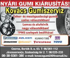 9 Redőnyök, reluxák, szalagfüggönyök, napellenzők, szúnyoghálók, párkányok, harmonikaajtók stb. kedvezménnyel, garanciával 10 napos szállítási határidővel mosonmagyaróvári szakembertől.