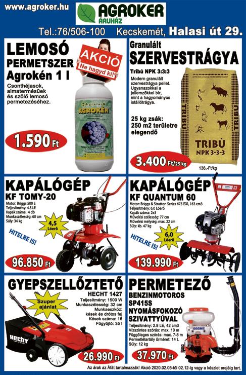 24 MOZAIK A Kelemen László Kamaraszínházban tartotta első fellépését a Fantasy Dance Company.