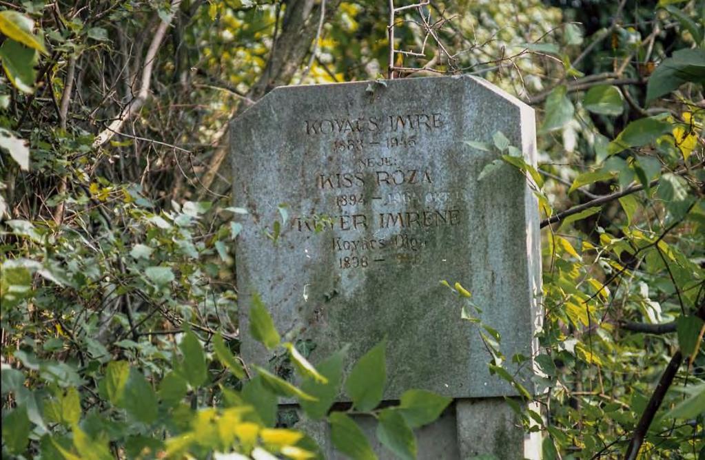 SÍRHELYSZÁM: 104. FELIRAT: Kovács Imre 1863-1945 neje Kiss Róza 1894-1964. október 13.