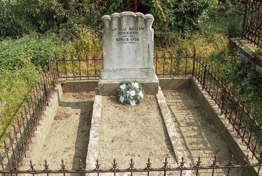 SÍRHELYSZÁM: 134. FELIRAT: Id. Dr.