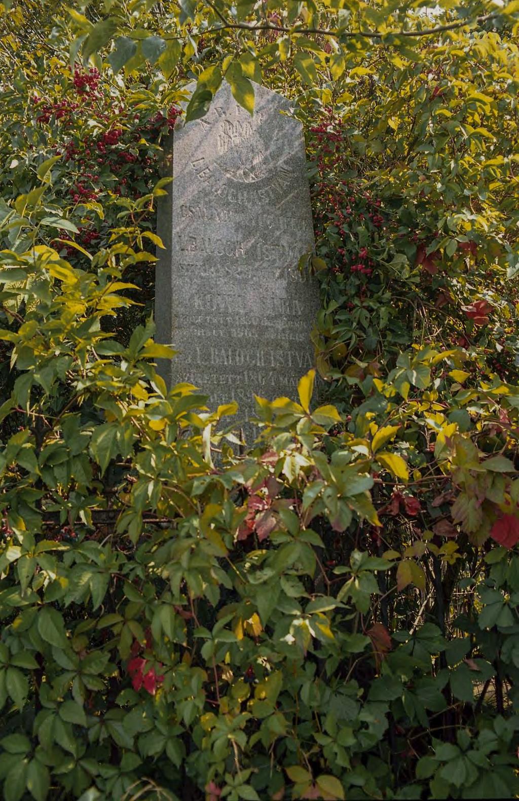 SÍRHELYSZÁM: 136. FELIRAT: ABFRA. L. Balogh István családi nyughelye.