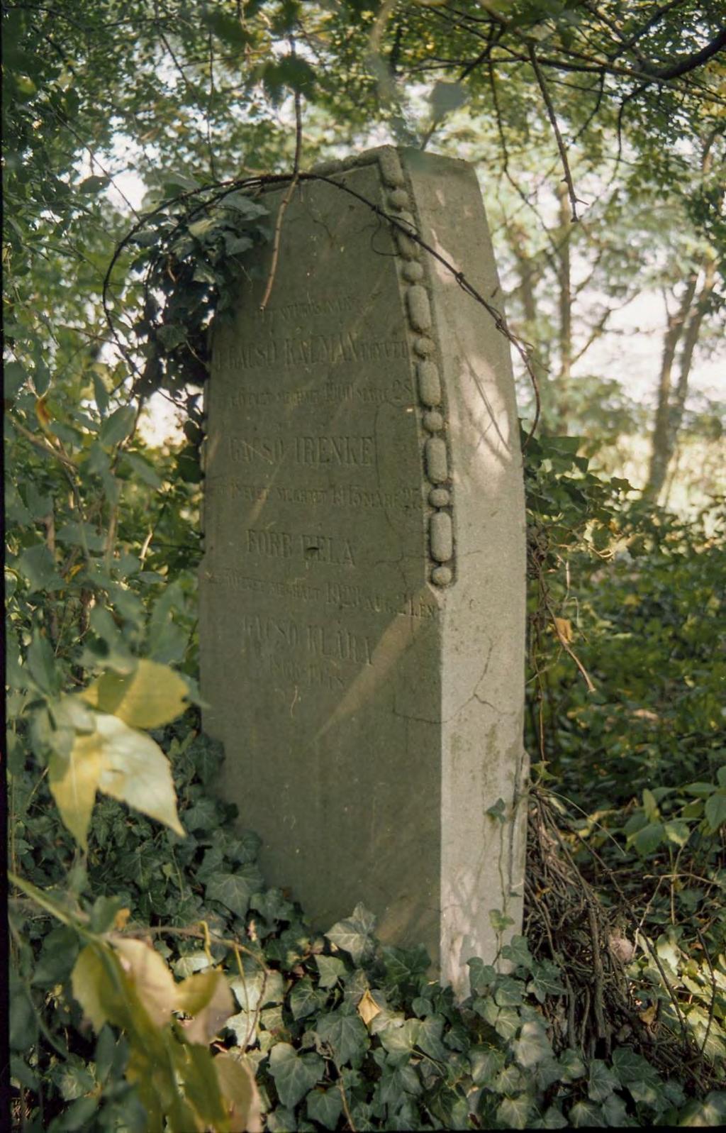 SÍRHELYSZÁM: 141. FELIRAT: Itt nyugosznak Dr. Gacsó Kálmán ügyvéd élt 46 évet meghalt 1900. márc. 28.