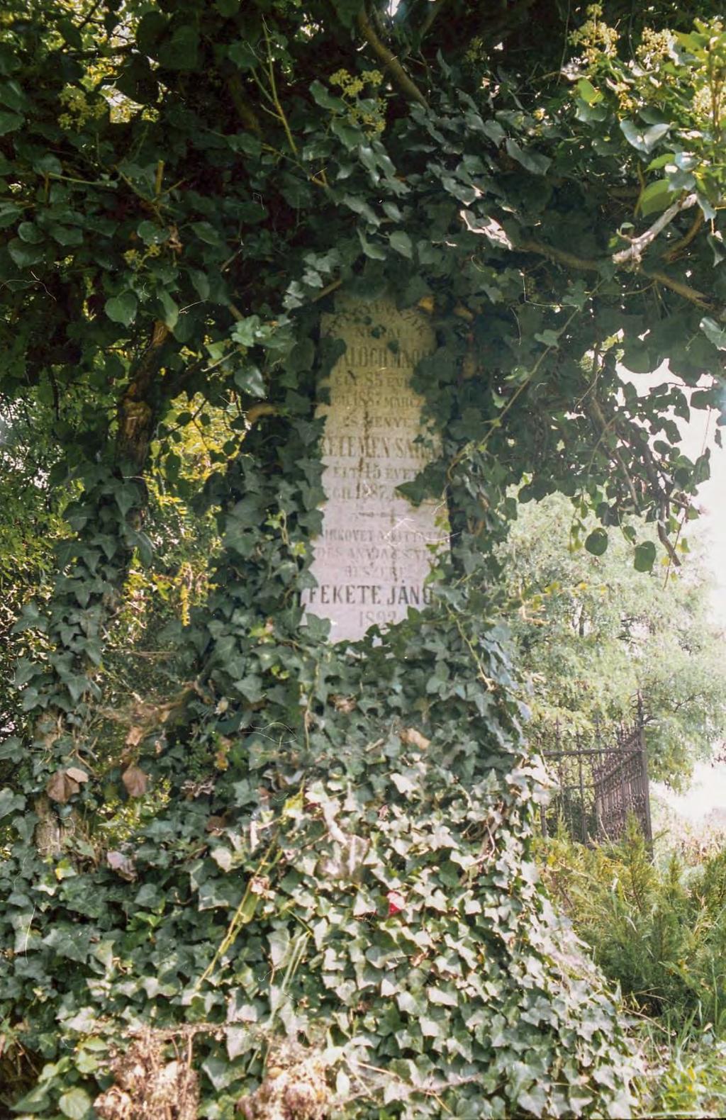 SÍRHELYSZÁM: 149. FELIRAT: Itt nyugszik néhai Balogh Mária élt 85 évet meghalt 1887. márcz.