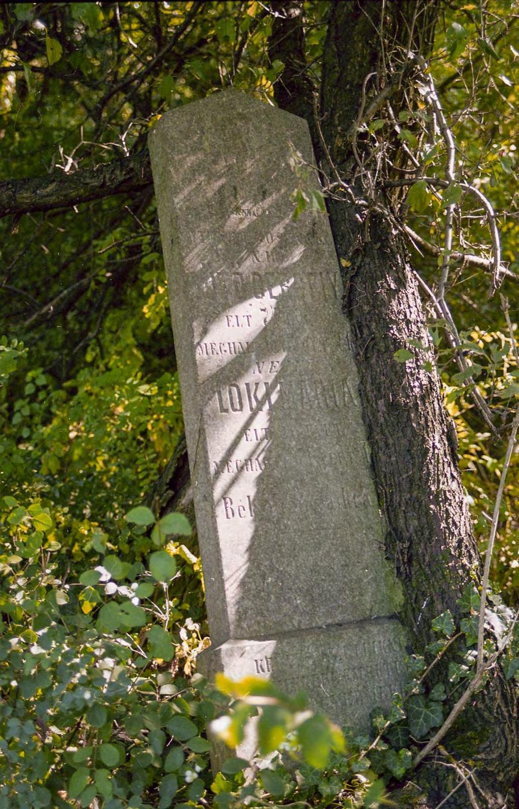 SÍRHELYSZÁM: 71. FELIRAT: Itt nyugszik néhai Sötő Gergely élt 74 évet meghalt 1873. október 21.