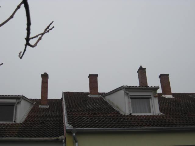 stringek 2