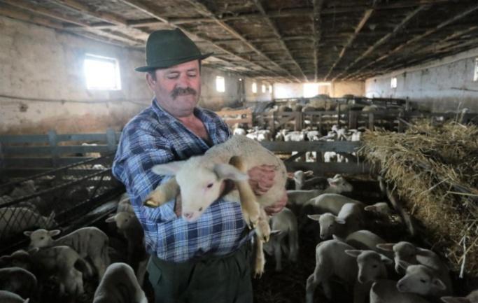 fia, a Mosonmagyaróváron végzett agrármérnök, növényvédelmi szakmérnök, ifj. Csomai Géza (1974) irányítja.