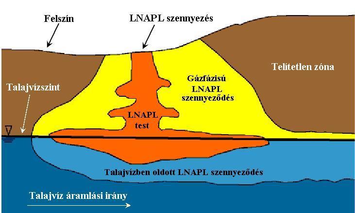 7. ábra Az LNAPL szennyezők mozgásának sematikus rajza (Delin et al., 1998 alapján).