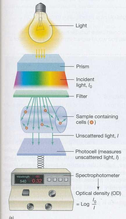 sejtszámláló spektrofotometria (turbidimetria) flow citometer real-time PCR 13 14 Csíraszámlálás: összes élő csíra számlálása