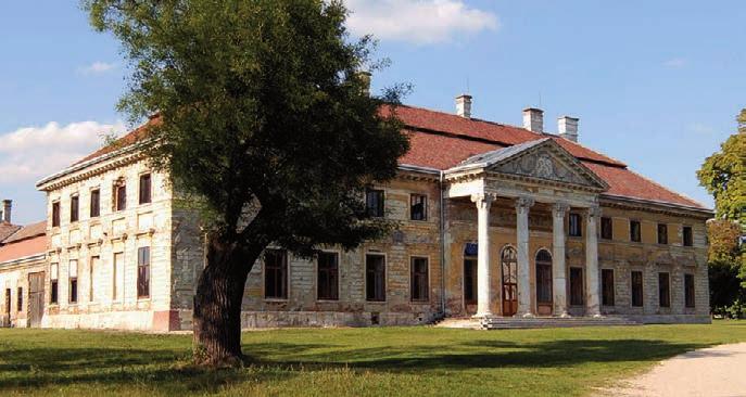 A regényben Baradlayné fellázad férje zsarnoki végakarata ellen, és átveszi a családfõ szerepét. Hogyan változtak meg napjainkra a családi szerepek? Nektek mi a véleményetek errõl?