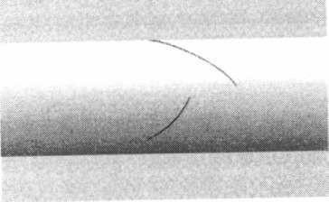 * Szójáték: Klein és K. Line angol kiejtése megegyezik (line=vonal). (Ford. megj.) ** Szójáték: Linestein és Einstein angol kiejtése csak az 1 hangban különbözik. (Ford. megj.) valamilyen bőrszerűséget testük védelmére.