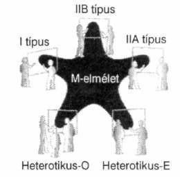 12.2 ábra A második szuperhúr-forradalom eredményei megmutatták, hogy az öt húrelmélet egyetlen egyesítő rendszer része, melyet tétován M-elméletnek neveztek.