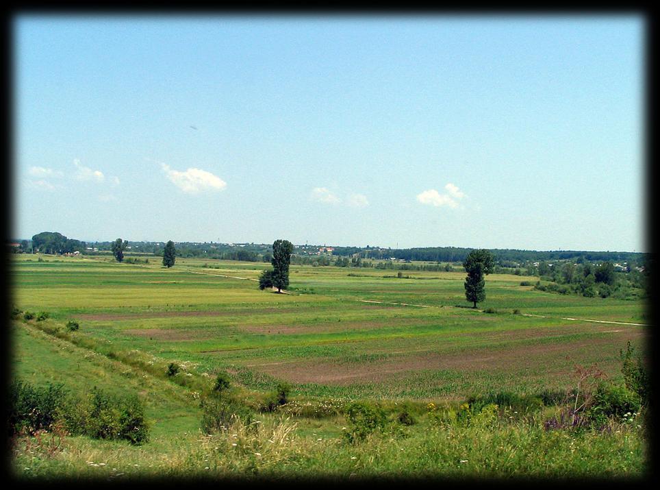 síkságai