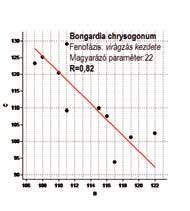 378 Hufnagel Levente és Sipkay Csaba 7.2.4.