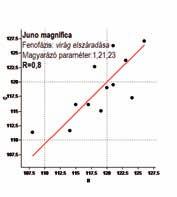 kapcsolatok a Juno magnifica esetében Juno vicaria 7.2.26.