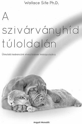 Vajon fel vagyunk készülve elvesztésükhöz?