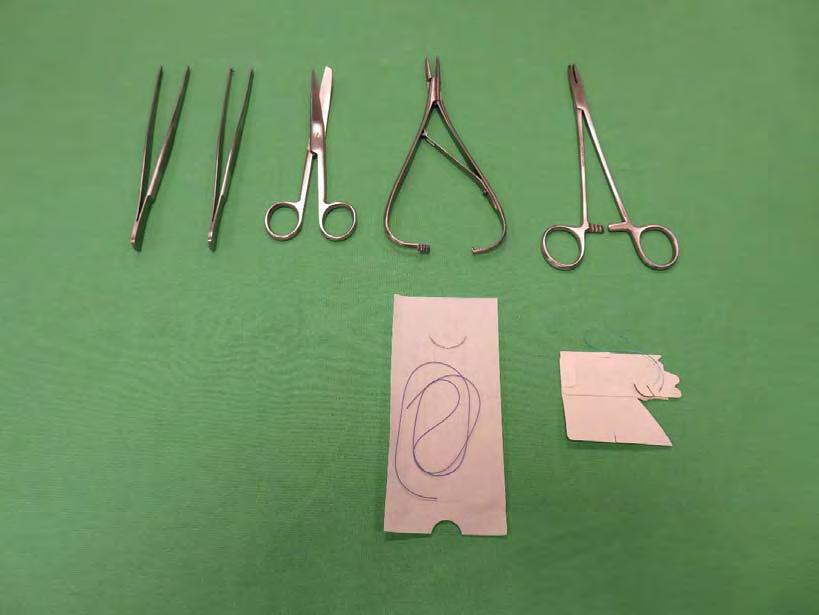 ESZKÖZÖK Az eszközök balról jobbra: Felül: Anatómiás csipesz, sebészi csipesz, Mathieu tűfogó, Hegar tűfogó, Alul: sebészi tű és sodrott fonal, atraumatikus varróanyag Csipeszek A varratok