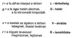 b Egyféle esemény (kijön belőle) sokféle szereplővel. Jelenségek összevonása közös tulajdonsággal. c Egyféle szereplővel (fa) sokféle esemény 13. ábra. a.
