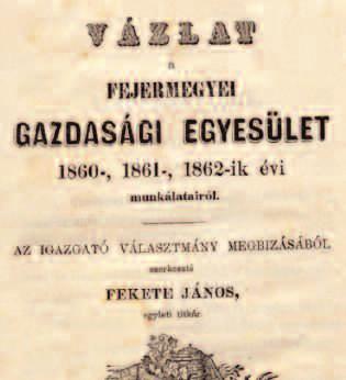 A Fejér Megyei
