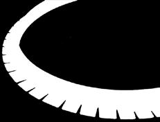 100 mm/2 m 1135929 1090 545/m 120 mm/2 m 1136040