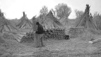 100 cm, 6 m; 6 m 2 /tekercs 1060027 120 cm, 6 m; 7,2 m 2
