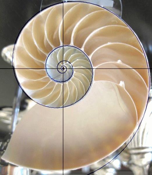 Fibonacci 1, 1, 2, 3, 5, 8, 13
