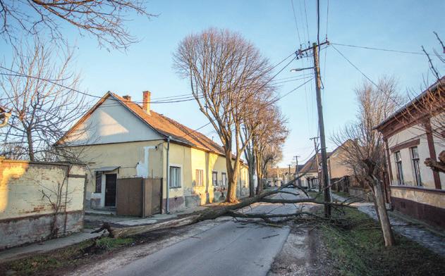 Ibolya, Szilágyi Mariann. Edző: Quirikó Vivien.