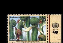 Nepenthes ampullaria, Laosz, 8.