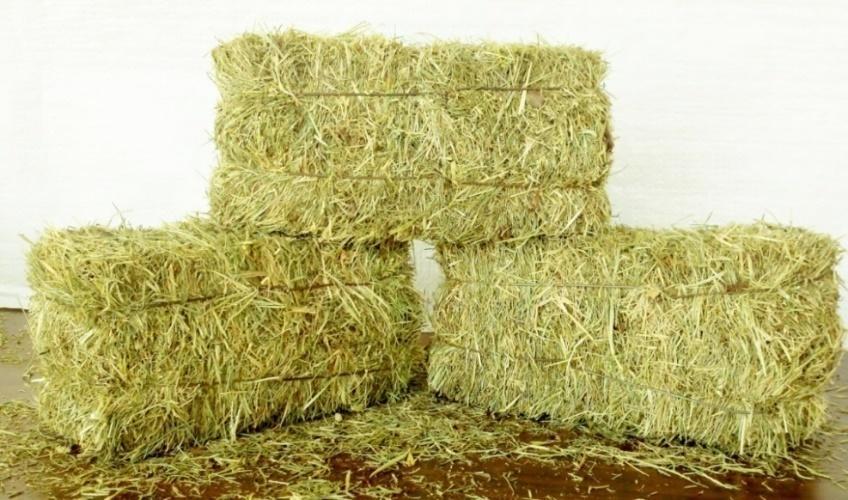 szellőzés miatt a széna megpenészedik, befeketedik, sötétbarna