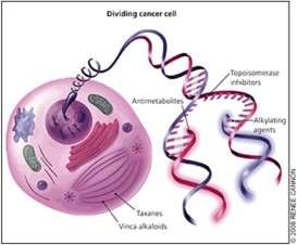 Daganatterápiás szerek antimetabolitok alkiláló