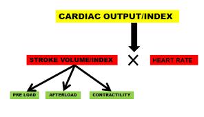 cardiac output PR