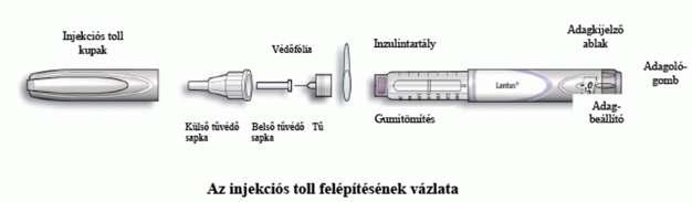 Az inzulin