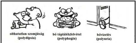 Diabetes mellitus általános tünetei fáradtság, teljesítőképesség csökkenése, ingadozó hangulat éhségérzet, izzadás, fejfájás (hiperinzulinizmus és