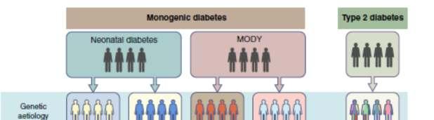 diabetes 2type kezelése nonachar diabetes férfiaknál tünetek kezelésére