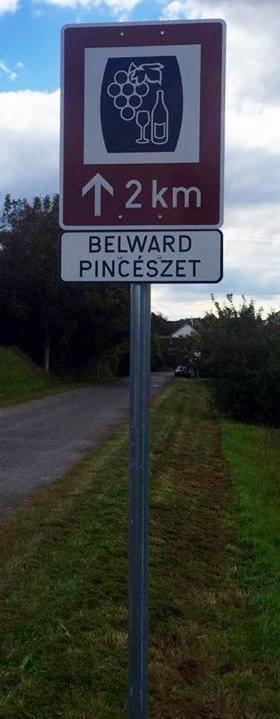 visszér a járművezetőknél