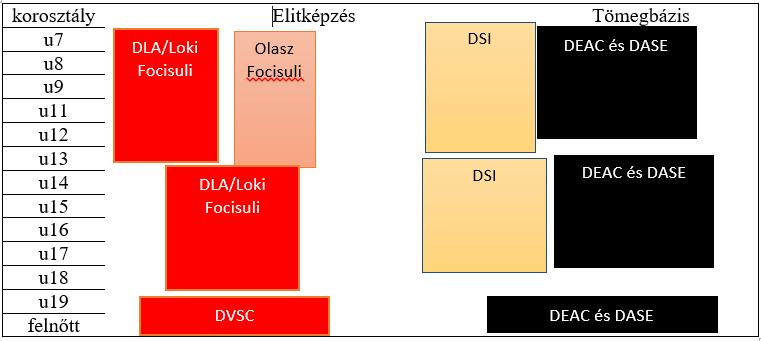 1. ábra: A debreceni labdarúgás képzési és korosztályi felépítése Forrás: saját szerkesztés (2019) Az 1.