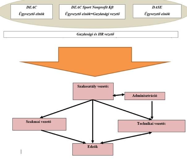 2. ábra: A DEAC labdarúgó szakosztályának felépítése (organogram) Forrás: saját szerkesztés (2019) ÖSSZEFOGLALÁS Összefoglalva megállapíthatjuk, hogy a Debreceni Egyetem és a DEAC sporttevékenysége