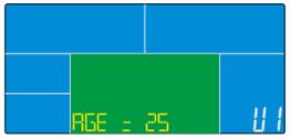 3. ábra 4. ábra PROGRAMOK A MANUAL villog a főmenüben. Válassza ki a programot az UP(+) / DOWN (-) gombokkal, majd erősítse meg az ENTER gombbal.