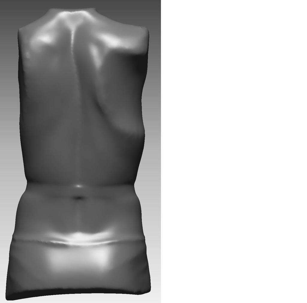 3D lézeres testszkenner A Magyar