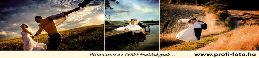 INGYENES SZÁLLÁS, ALBÉRLET LEHETŐSÉG! 06-20/284-0698, 06-30/282-6263, 06-20/367-0345, sarvar@jobandcareer.