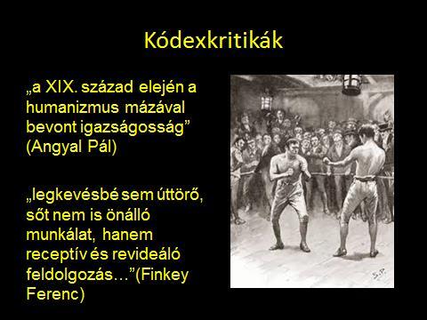 A bírálatok egyik csoportja jellemzően büntető szaktudományi volt, melyet a kodifikációs fejlődés, a praxis tapasztalatai és a tudományos viták hoztak magukkal.