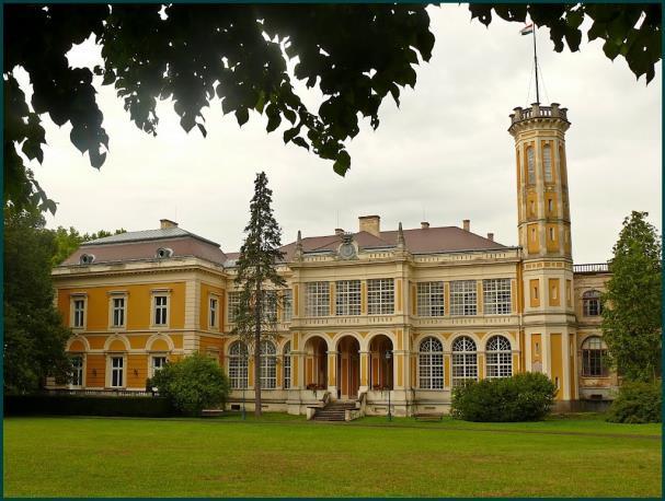 1704-ben Rákóczit megválasztották Erdély fejedelmévé Gyulafehérváron, majd 1705-ben a széchényi országgyűlésen megkapta a vezér és fejedelem címet (latinul dux et princeps).