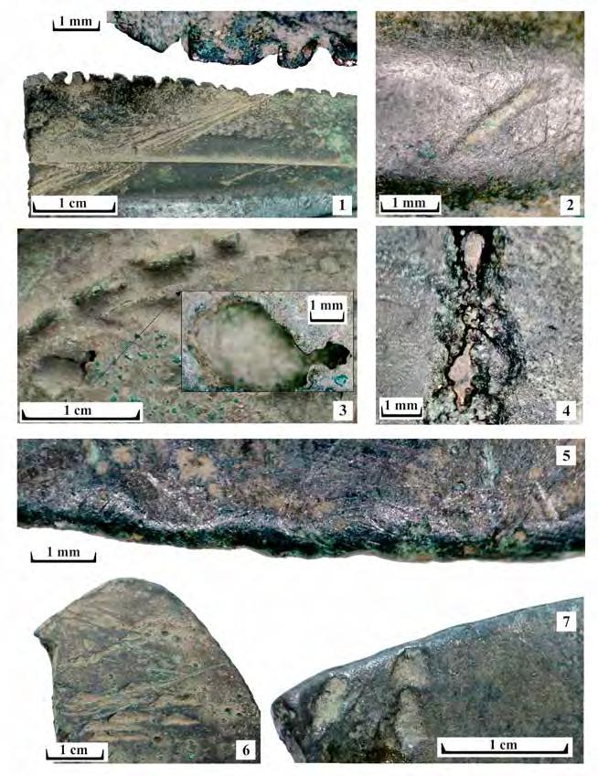 New Late Bronze Age Metal Finds from Gönc 27 Plate 6. 1 7. Selected macro- and micrographs: 1. Impact marks on sword edge (Cat. No. 1), 2.