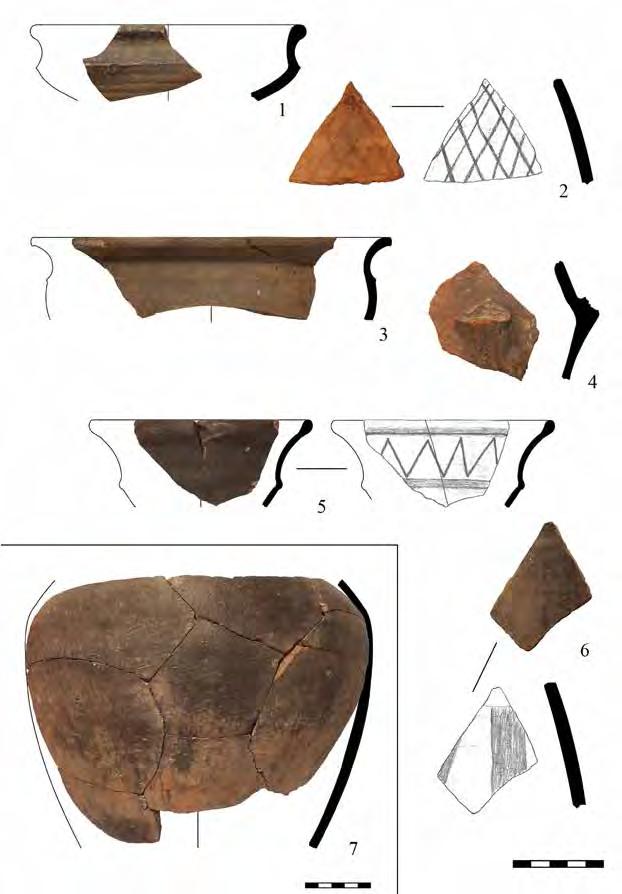 Settlement and graves from Hernádvécse (NE-Hungary) in the 5 th century AD 83 Plate I.