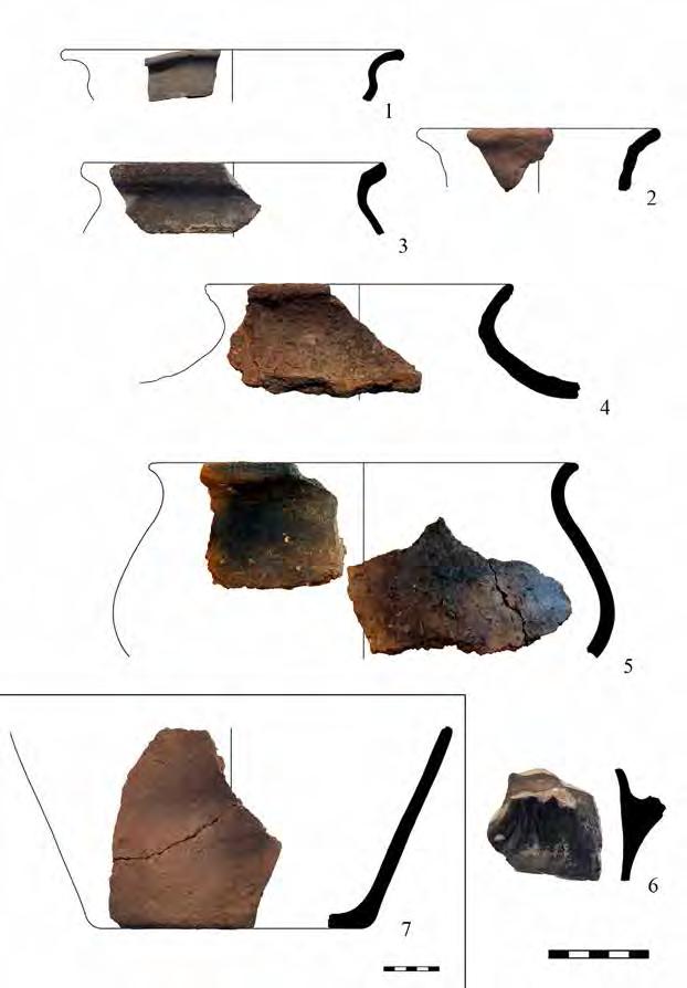 Settlement and graves from Hernádvécse (NE-Hungary) in the 5 th century AD 85 Plate III. Hernádvécse Nagy rét site 4.