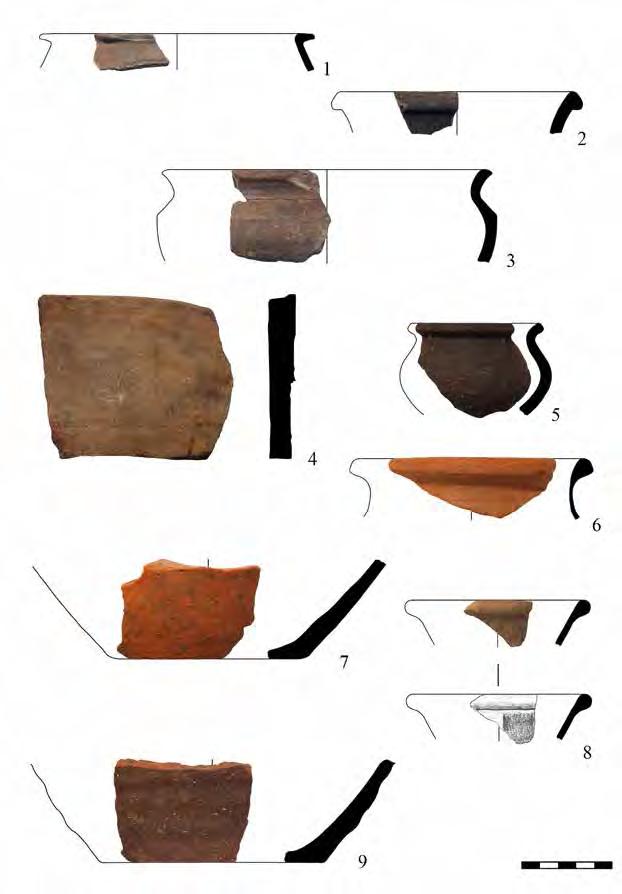 Settlement and graves from Hernádvécse (NE-Hungary) in the 5 th century AD 87 Plate V.