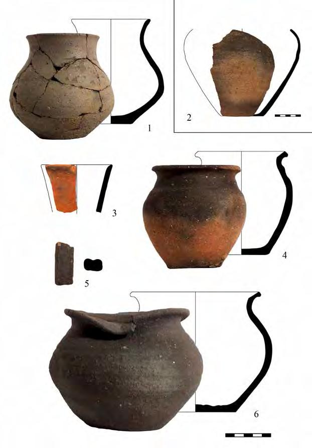 A Herman Ottó Múzeum Évkönyve LVI (2017), 99 111. EGY MEGKÉSETT TARTOMÁNYURASÁG-ÉPÍTÉSI KÍSÉRLET A XIV. SZÁZAD ELEJI MAGYARORSZÁGON: PETENYE FIA PÉTER PÁLYÁJA Kádár Tamás történész Absztrakt: A XIV.