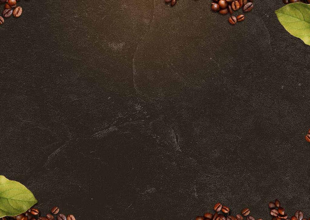 MIZO COFFEE SELECTION 330 ml 239