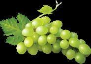 Áfonya Körte Meggy Alma Eper-lime Original Kaktusz-kiwi-guava KID